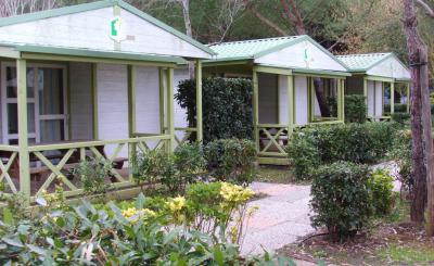1. Galeriebild *** Camping Free Beach und Free Time / Marina di Bibbona